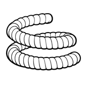 Black‑outline illustration of a soft, spiral fidget stick shown on a clean white background. The coil has three gentle loops with rounded ridges, drawn in thick, bold lines for clarity and calm visual focus.