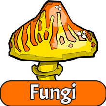 fungi.png