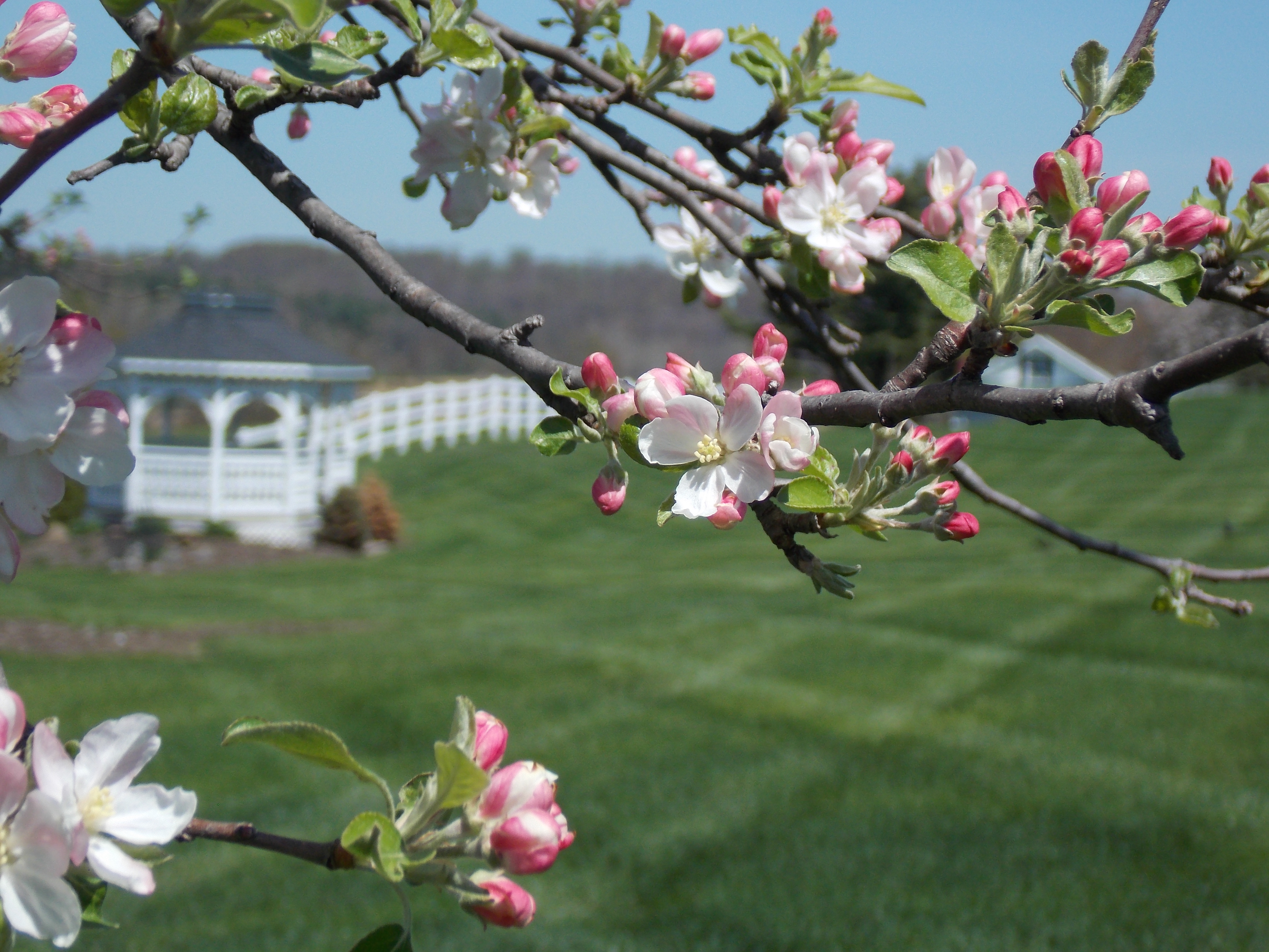 Amish Door Village Best of Ohio's Amish Country