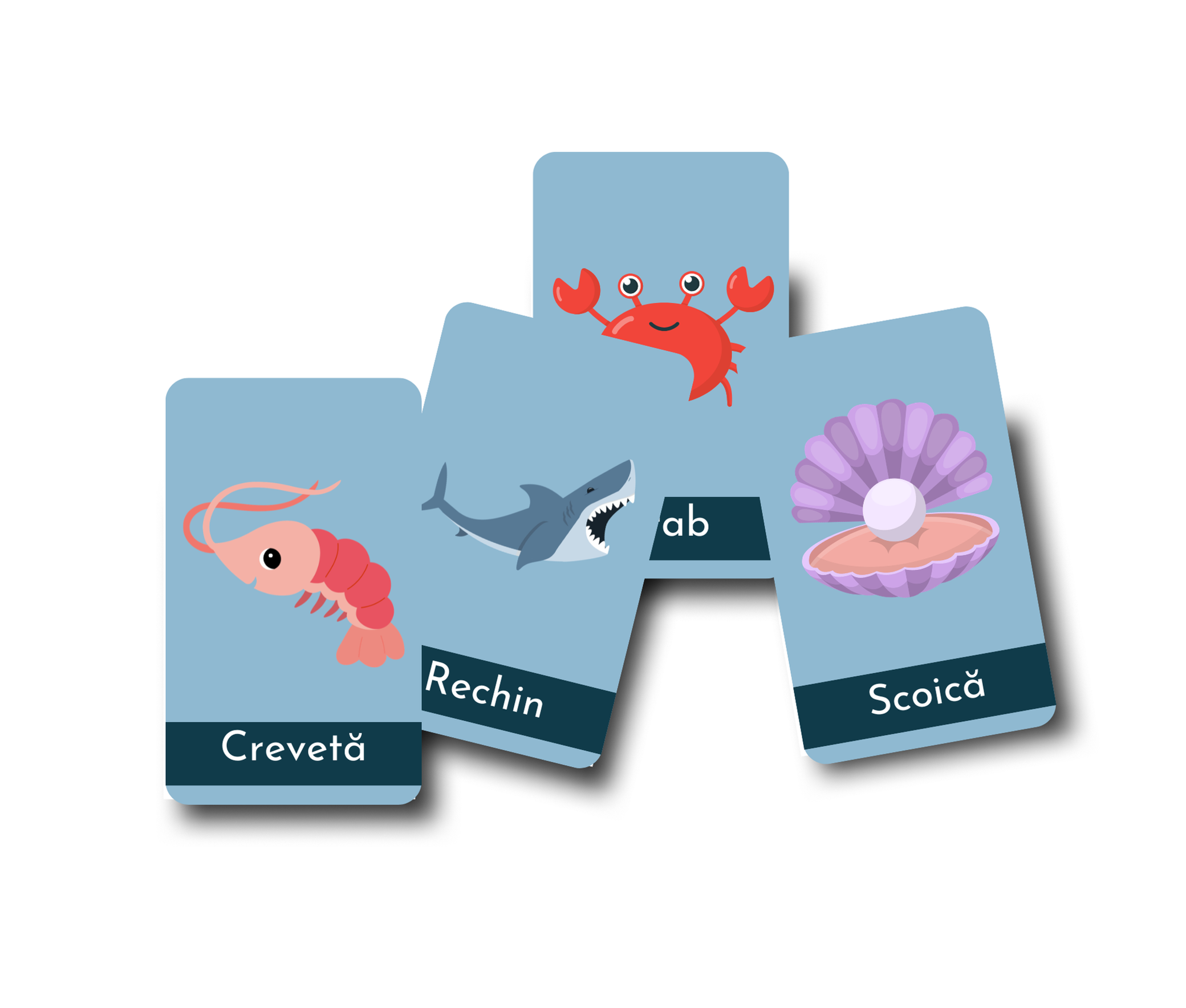 Animale Marine – Set 16 Carduri de Nomenclatură (3 părți) - lb.RO