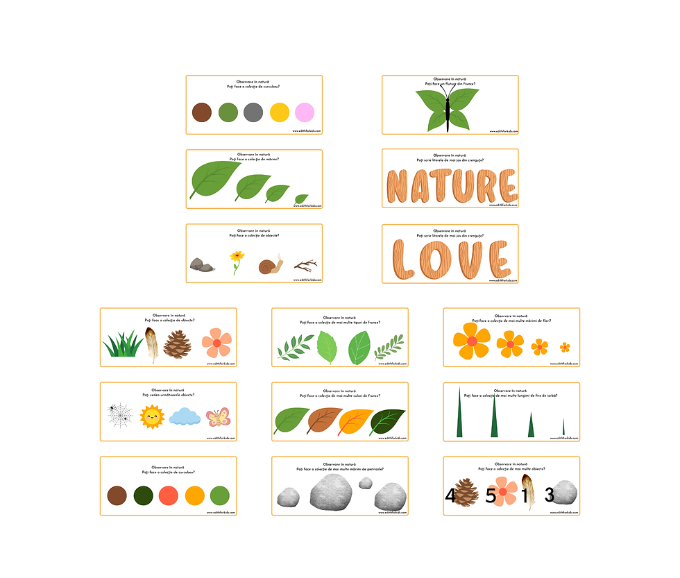Miniatură: Set Complet „Micul Explorator în Natură” –  Jetoane  3 în 1