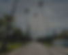 road-middle-buildings-palm-trees-blue-cloudy-sky_edited.jpg
