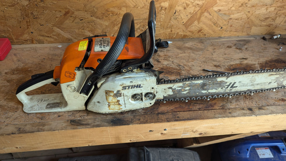 PXL_20241015_172933607.MP