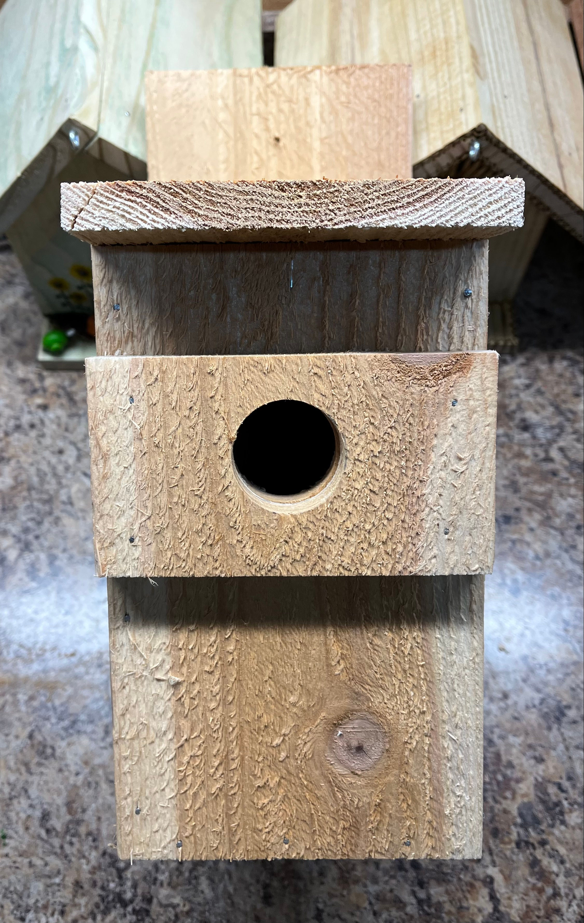 EasternBluebird House