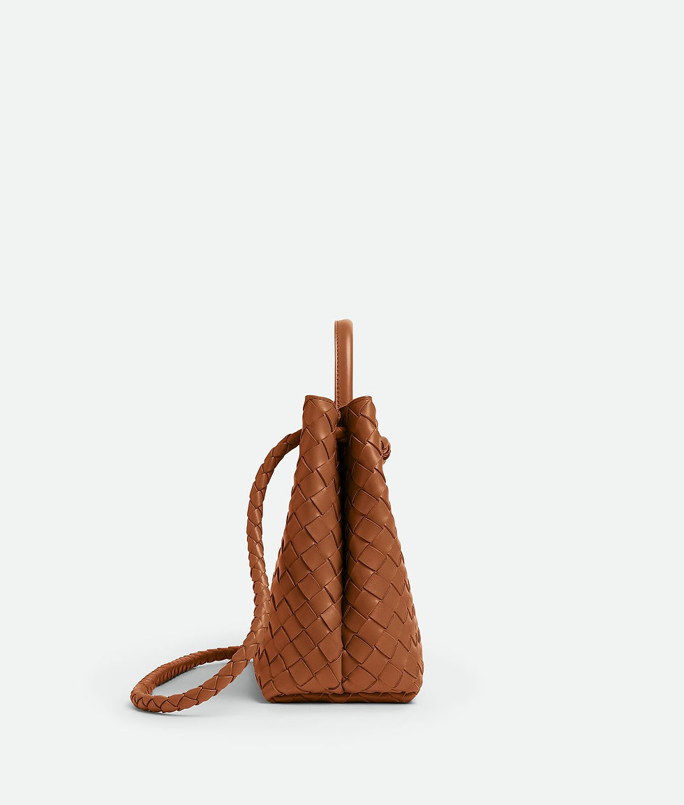 【関税&送料込】Bottega Veneta Andiamo Media BOTTEGA VENETA- Andiamo medium with chain Cognac | The Mayest