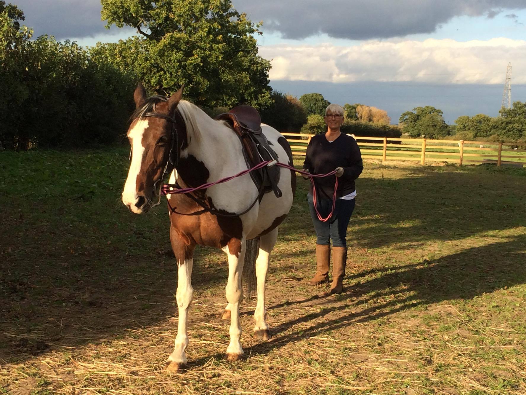 Cheshire Horse Sanctuary Helping Horses, Helping People Donate