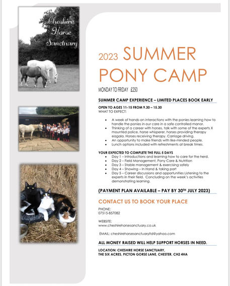 Pony Summer Camp 2025 