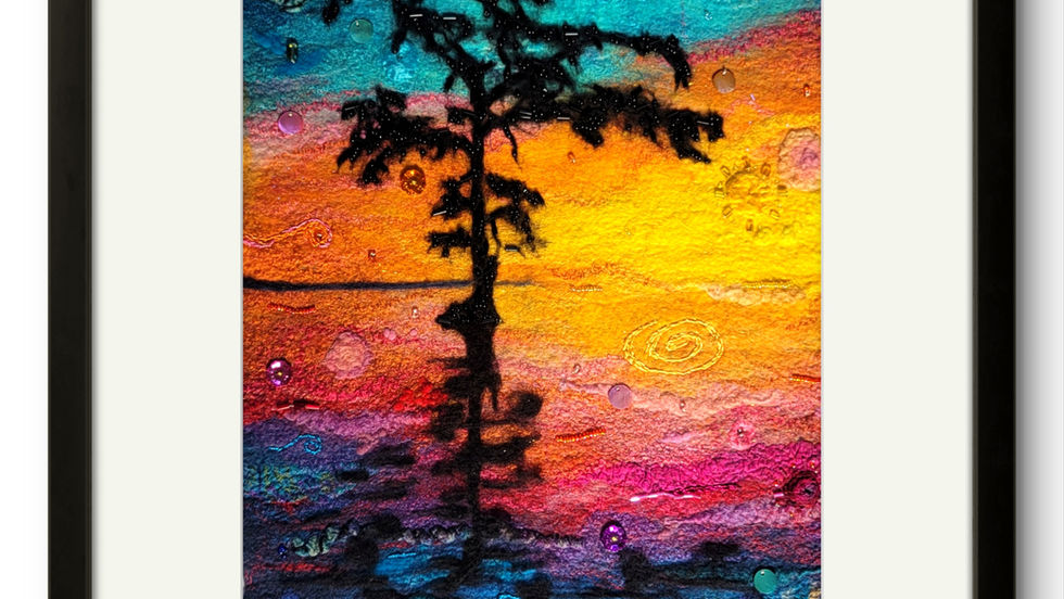 Cypress tree with Spanish moss at sunrise