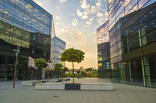 Asset+FM-AdobeStock_139058843.jpeg