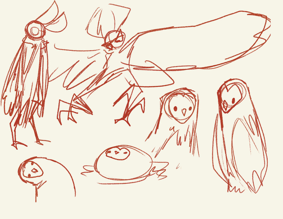 Moth to Owl