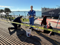 Image - 2025-10-31T101610.022