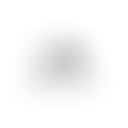 Move with United Moving Pro This Winter!