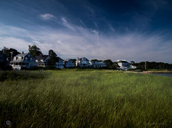 Megansett Grass