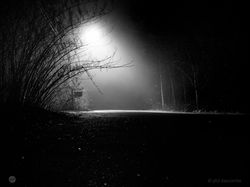 Lamp light