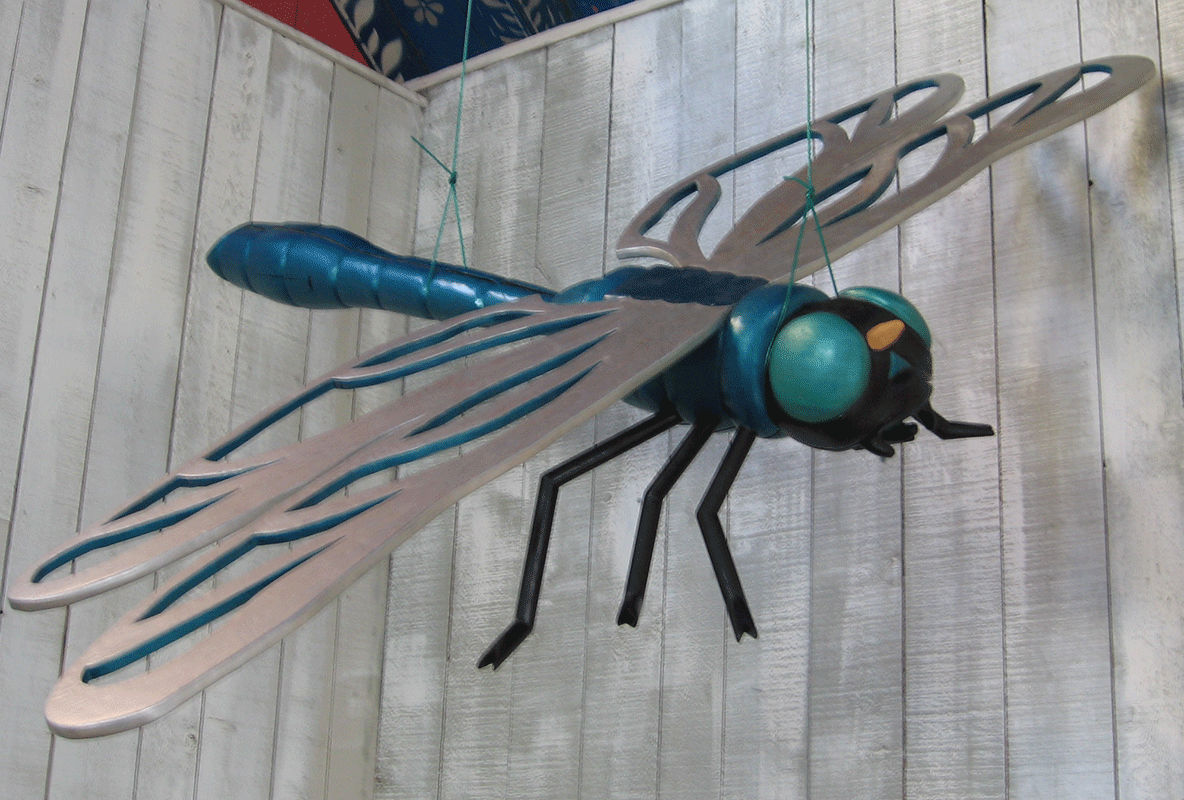 Dragon Fly