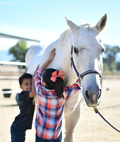 Two children petting a white horse outdoors with a sunny background