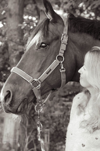 Paardenfotografie in natuurlijk licht.