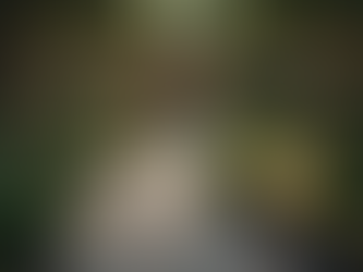 Elite Landscaping Solutions in Freeport and Surrounding Areas