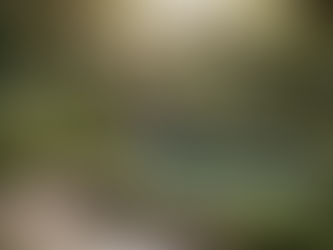 Discover the Best Landscaping in Brunswick and Yarmouth