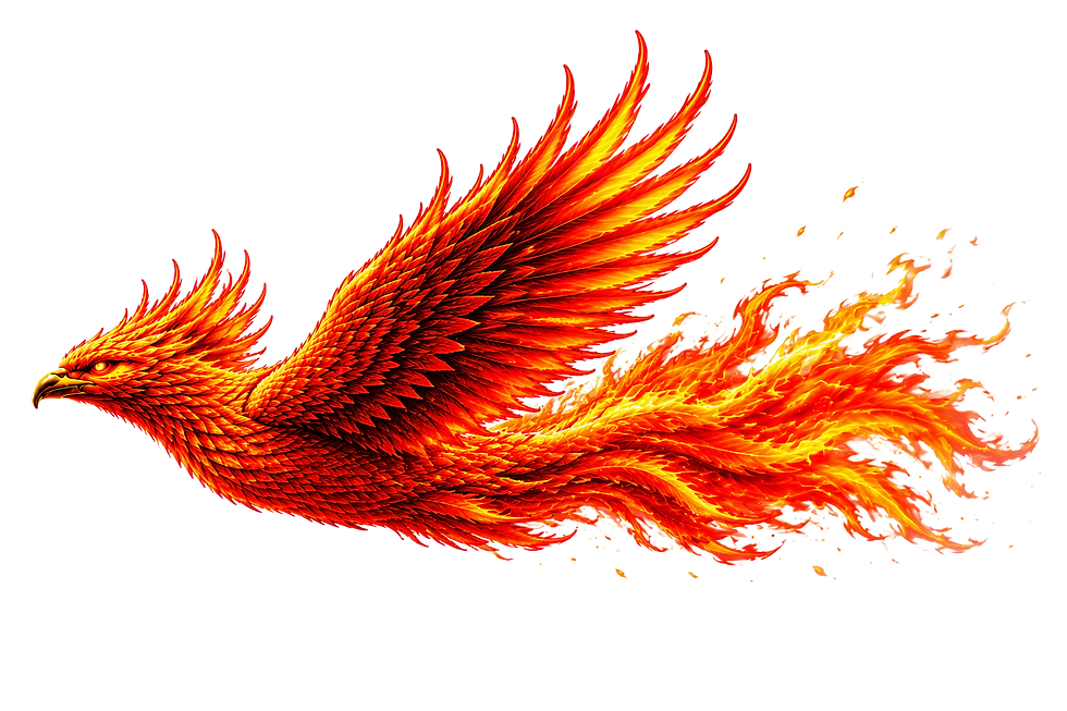 e446952e-6aba-495d-b958-7579cb8f61b7.png