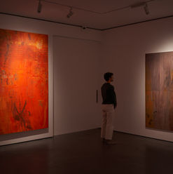 GoodmanGallery_15.03.22_8324.jpeg
