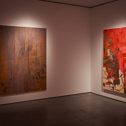 GoodmanGallery_15.03.22_8319.jpeg