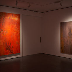 GoodmanGallery_15.03.22_8323.jpeg