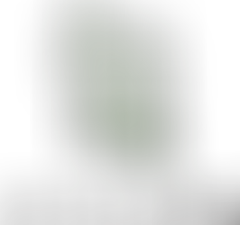 Introducing Lily and Larch Events!