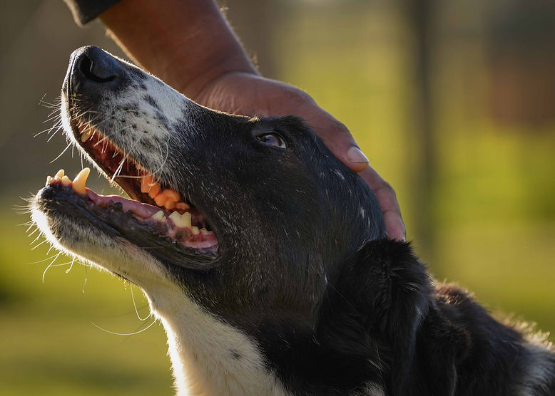 Hero Banner get involved.jpg