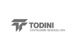 todini.png