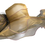 Thumbnail: H54 - Light in the Box Champagne Organza Hat