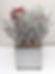 Chirstmas Centerpiece Festive Flower/SILVER Diamond Diamante Bling Sparkling Pot