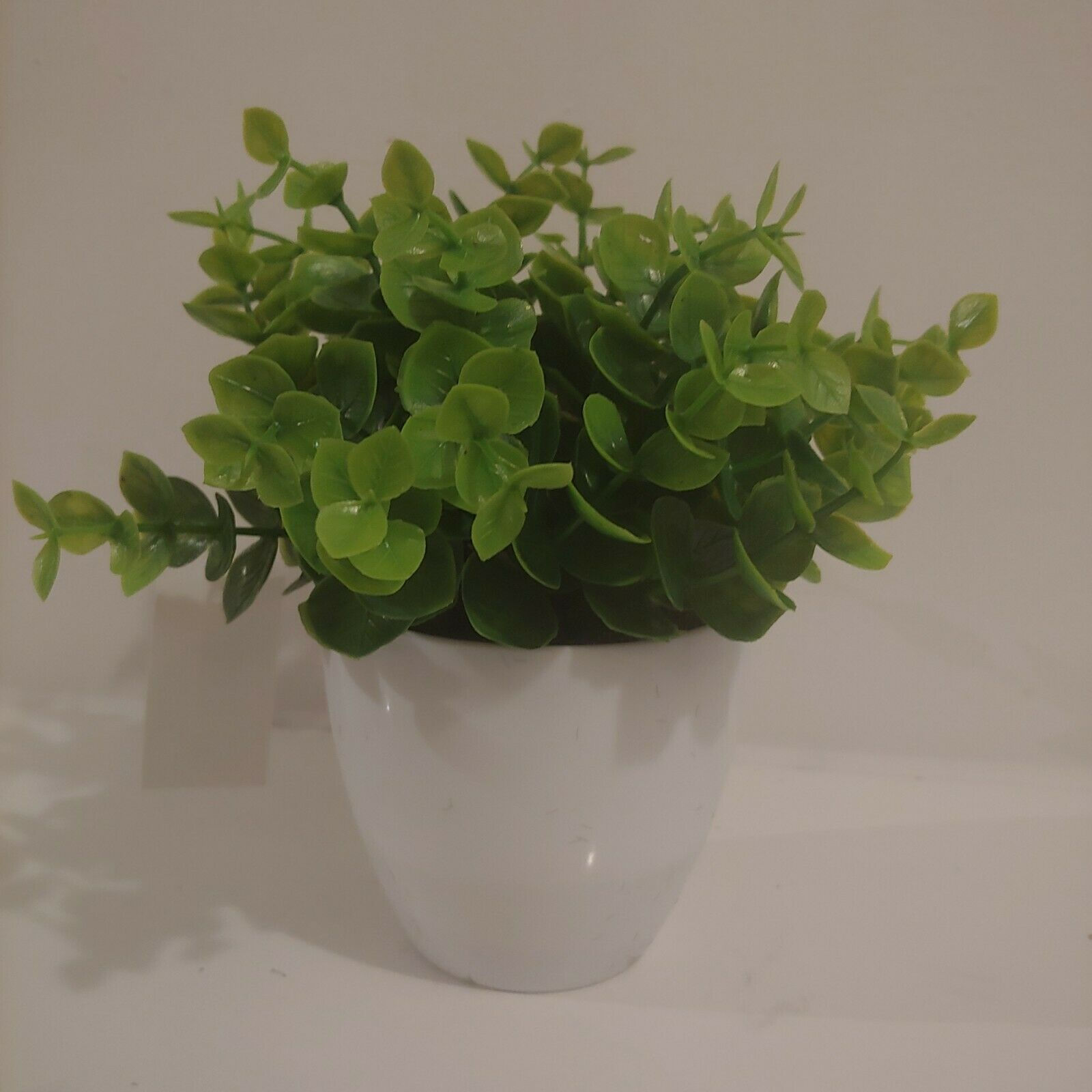 17Cm X 9Cm Artifical Eucalyptus Flower in White Pot Perfect for Home Decoration