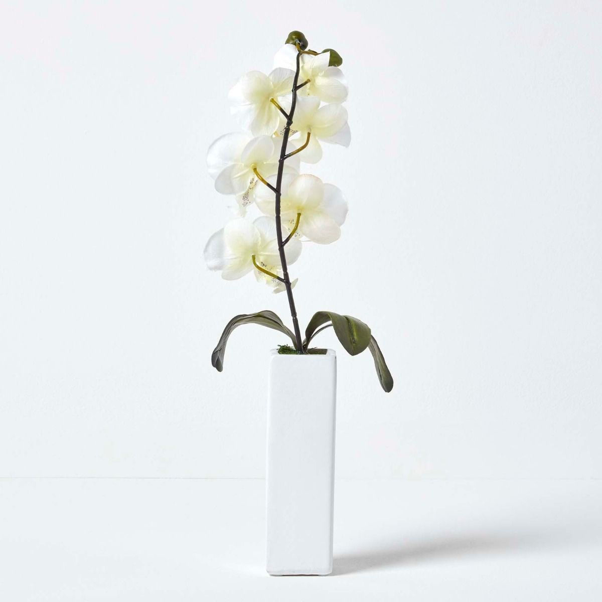 Artificial Plant Cream Orchid in Thin Cream Vase