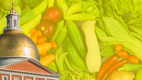 The MWFC’s Perspective on the final FY25 MA State Budget and Food Access 