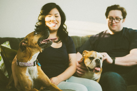 Couple at home on the couch with their dogs
