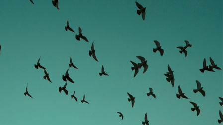 Still of "Pathless”, short film by Charlotte Verminck