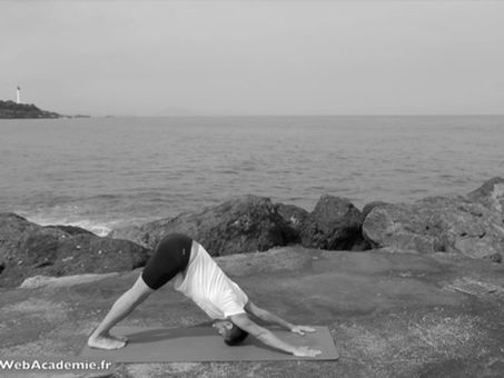 Quelles sont les différences entre le Hatha Yoga et le Vinyasa Yoga ? [article]