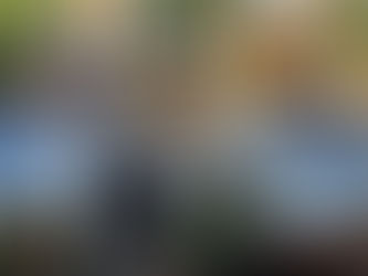 INVITATION, STAGES EN FRANCE ET EN BELGIQUE, COURS EN LIGNE : c'est la rentrée !