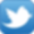 twitter_logo.png