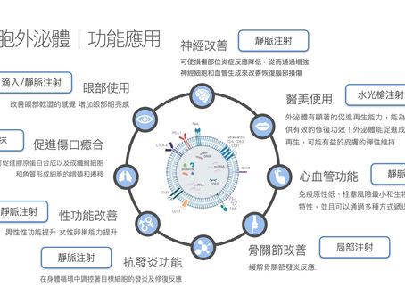臍帶間質幹細胞與外泌體