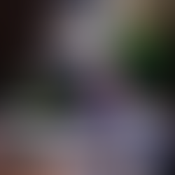 变革中的美国与中美关系