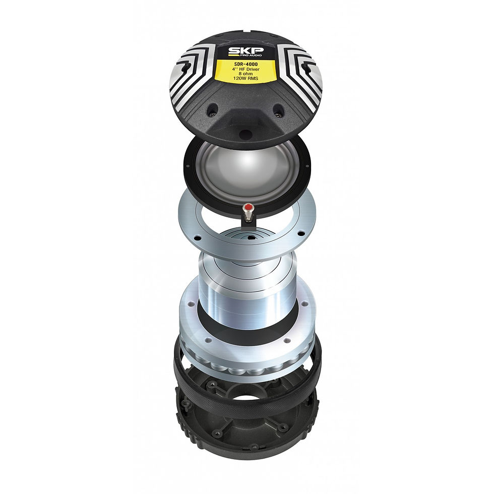 Miniatura: SKP Pro Audio SDR-4000