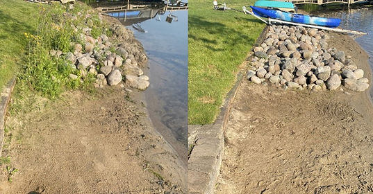 waterfront weed cleanup MN