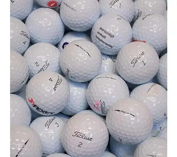 Golf Ball Retrieval Holy Divers