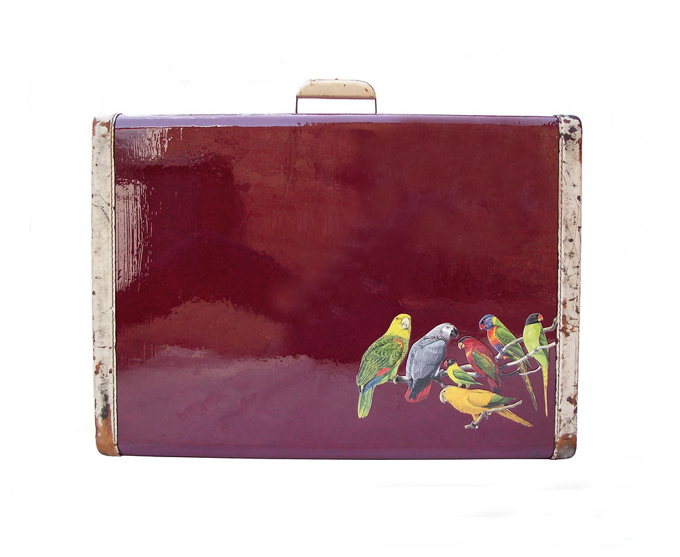 Thumbnail: Aviary IV up-cycled Suitcase
