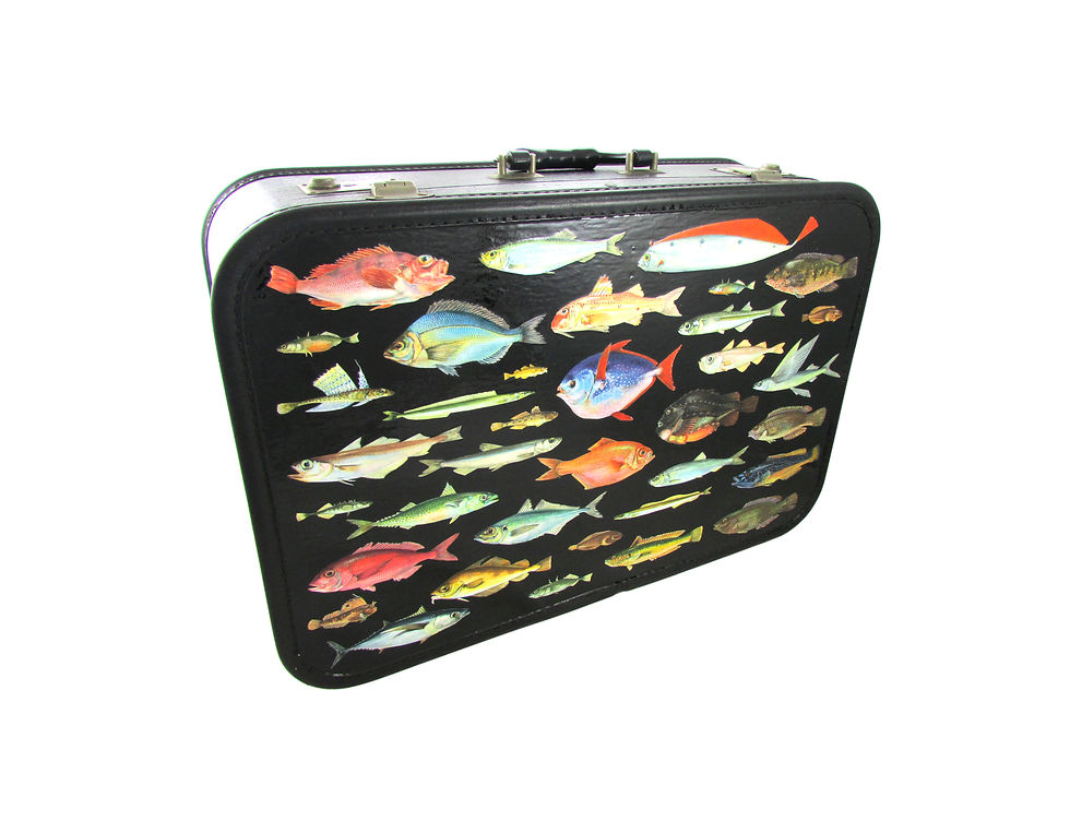 Thumbnail: Black Aquarium up-cycled Suitcase
