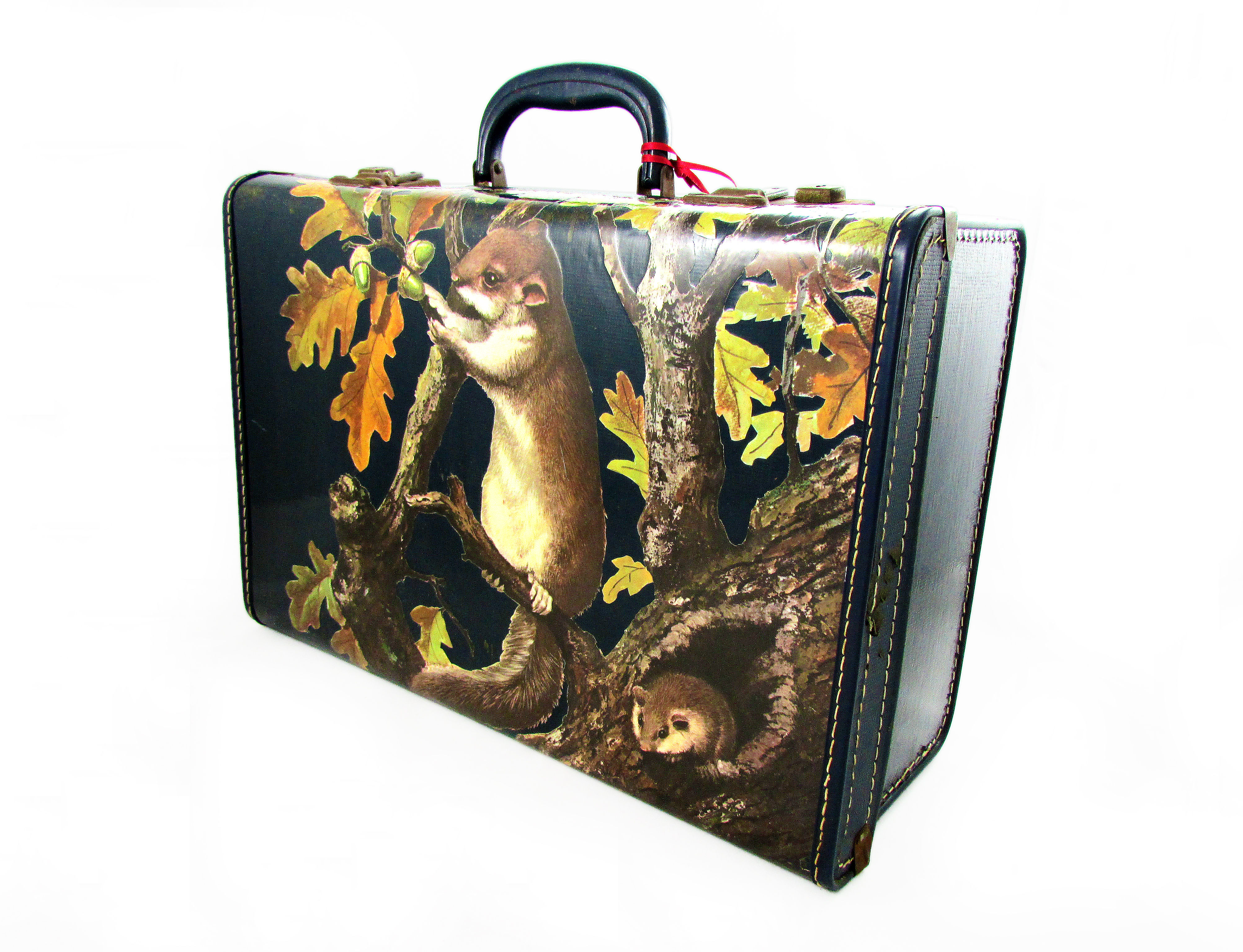 'Squirrels Acorns' Vintage Up-cycled Suitcase
