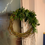 Thumbnail: Festive Nature Wreaths Workshop hosted by Mamma TT Organics - Morning