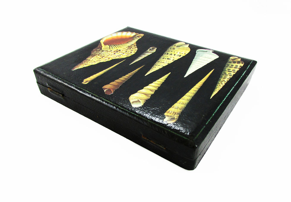 Thumbnail: 'Black Shells' Up-cycled Vintage Trinket/Jewellery Box
